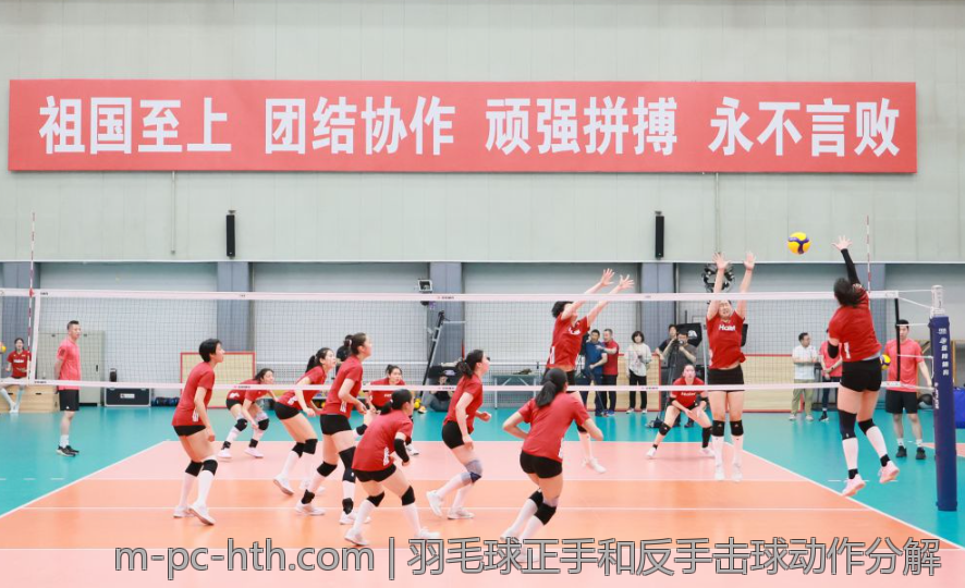羽毛球正手和反手击球动作分解